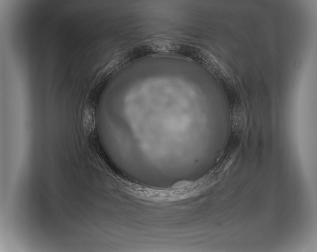 X0000113750043200909231141