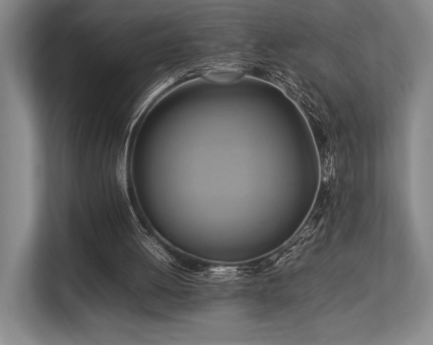 X0000113750052200909231140