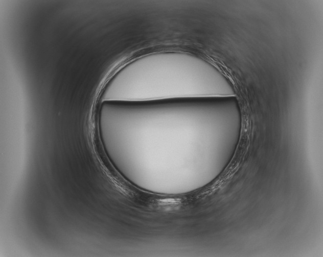 X0000113750053200909231140