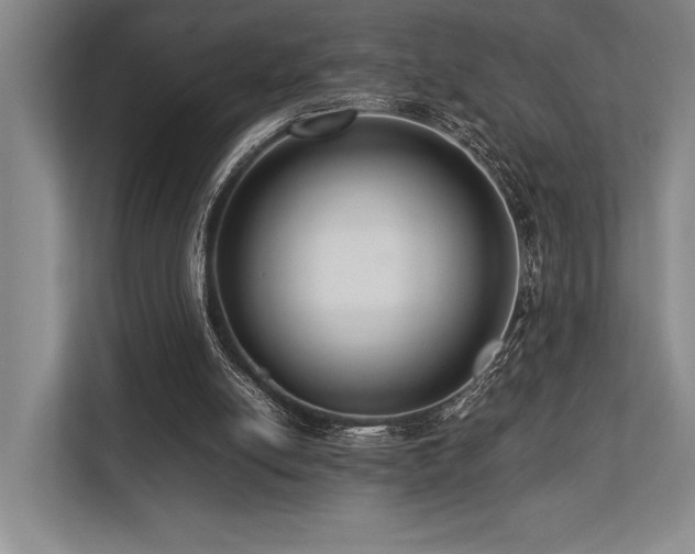 X0000113750054200909231140