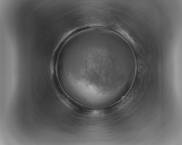 X0000113750060200909231140