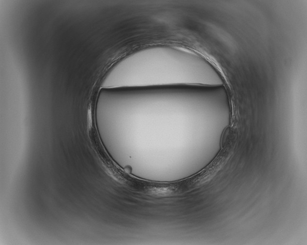 X0000113750061200909231140