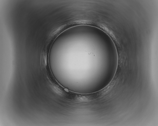 X0000113750062200909231140