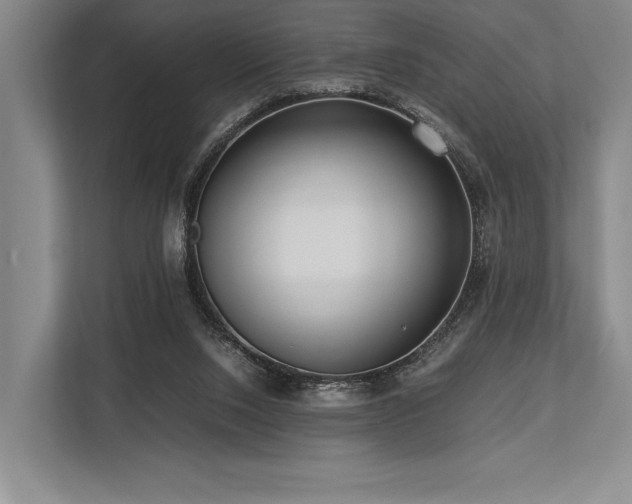 X0000113750064200909231140