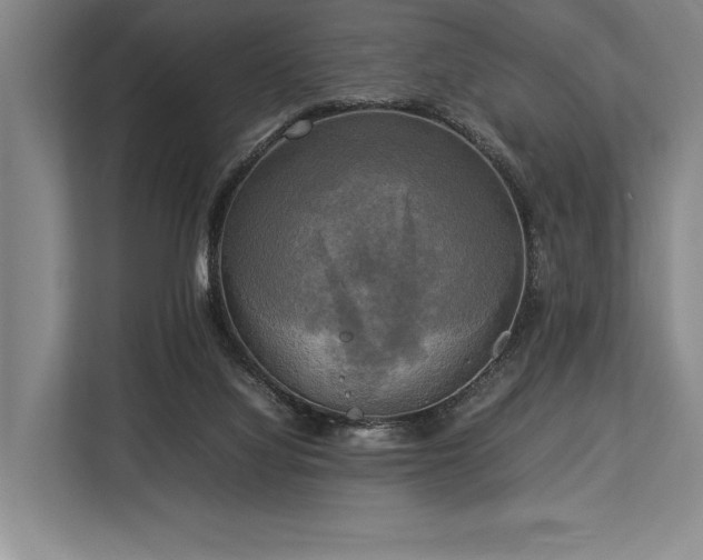 X0000113750068200909231140