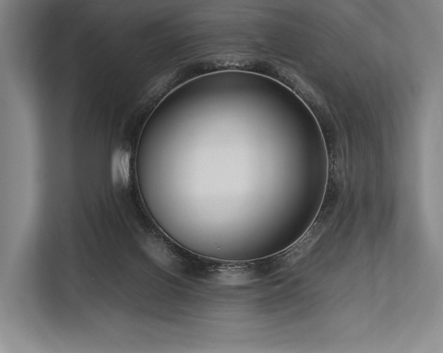 X0000113750070200909231140