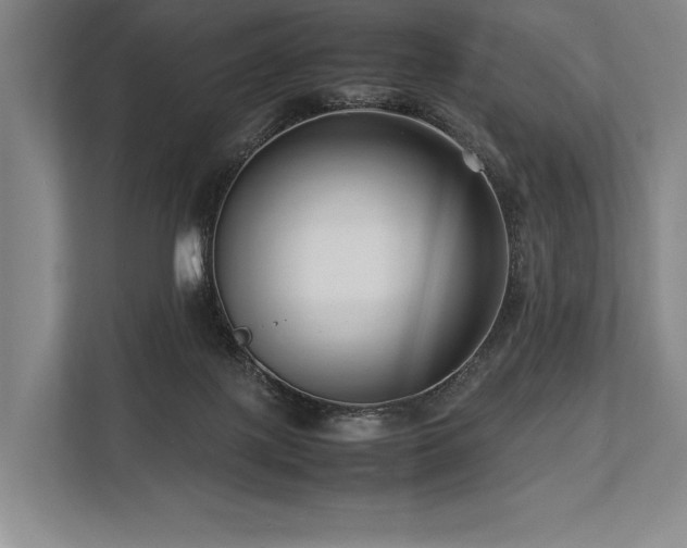X0000113750075200909231140