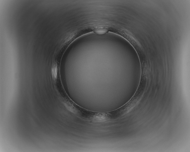X0000113750076200909231140