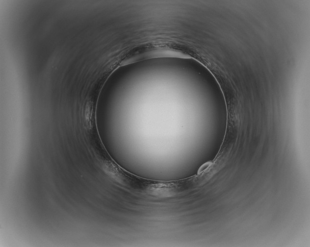 X0000113750082200909231140