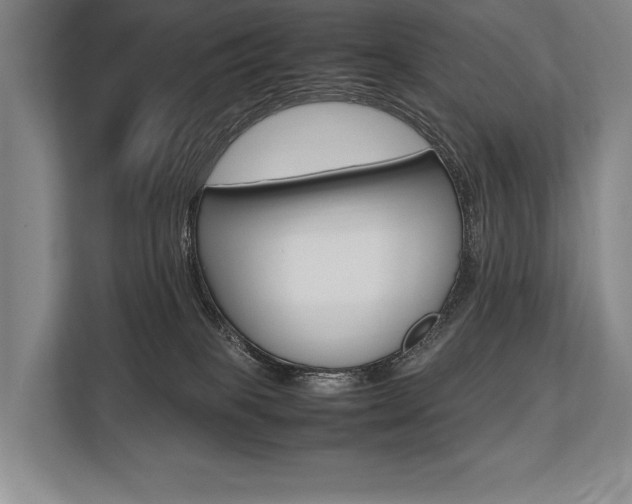 X0000113750085200909231140