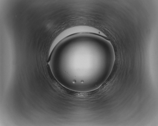 X0000113750088200909231140