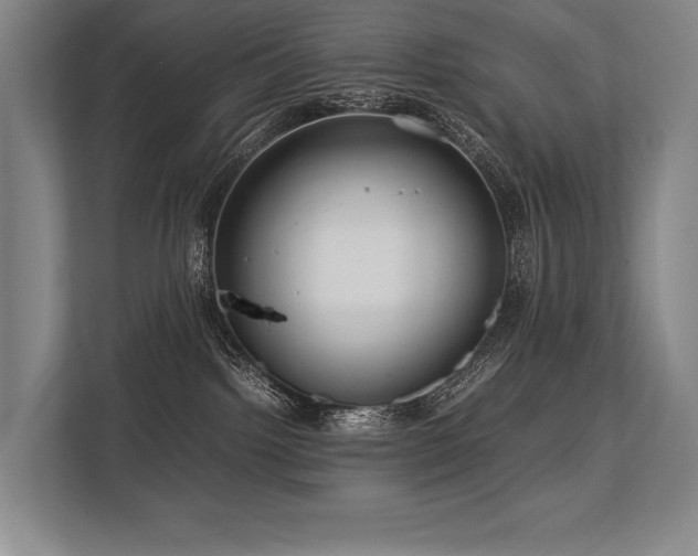 X0000113750092200909231140