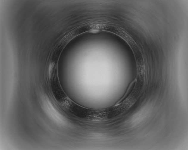 X0000113750095200909231140