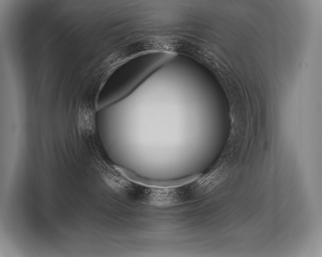 X0000113750096200909231140