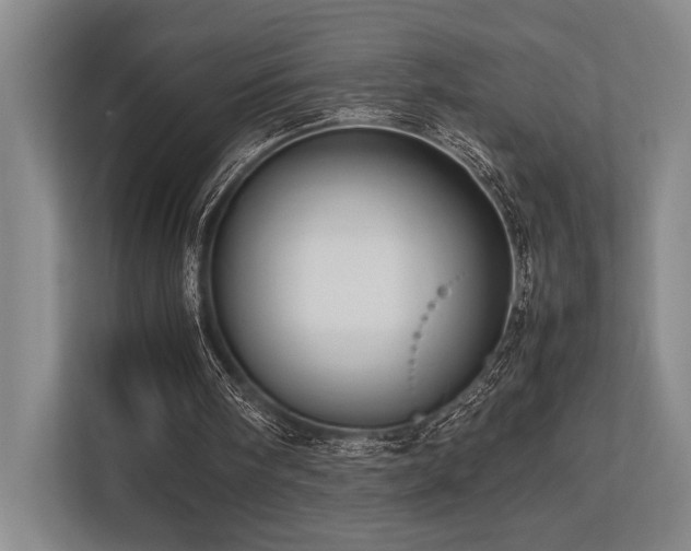 X0000113750098200909231140