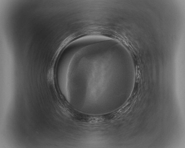 X0000113750099200909231140