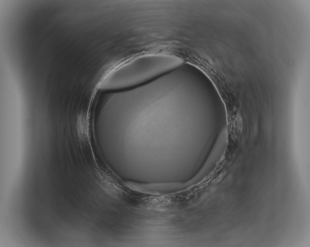 X0000113750100200909231140
