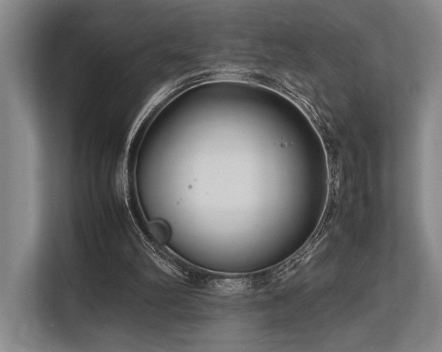 X0000113750102200909231140