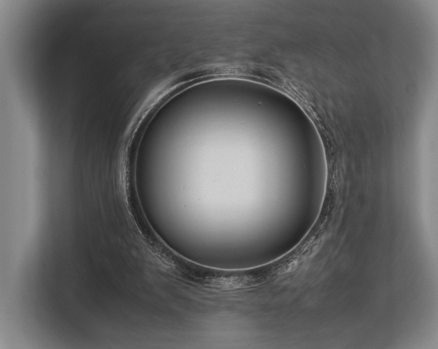 X0000113750103200909231140