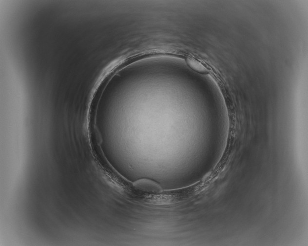 X0000113750104200909231140