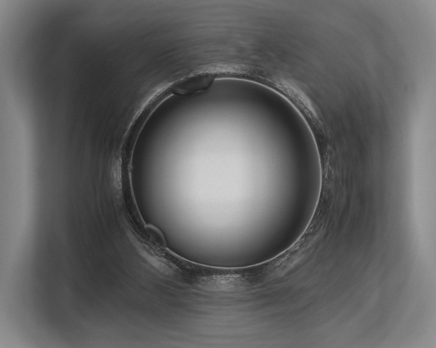 X0000113750108200909231140
