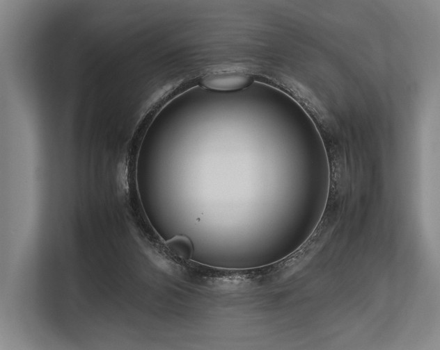 X0000113750112200909231140