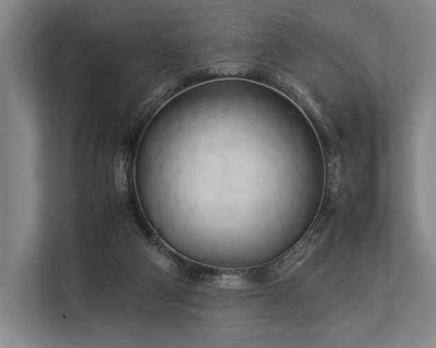 X0000113750114200909231140