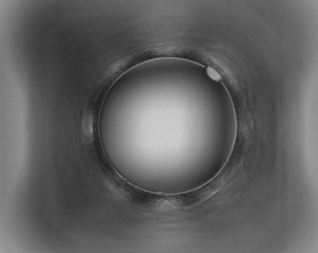 X0000113750115200909231140