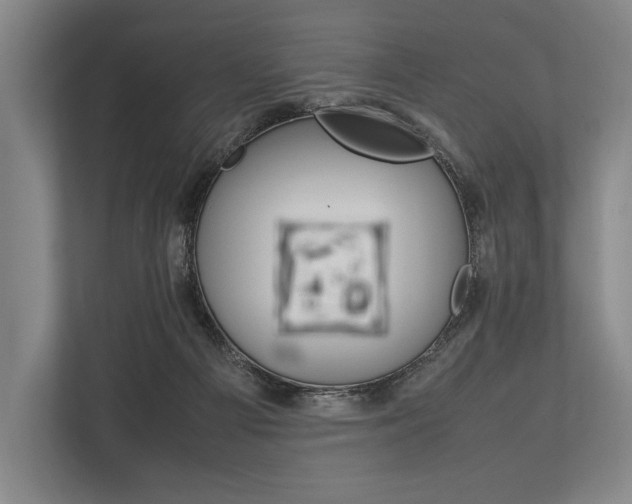 X0000113750121200909231139