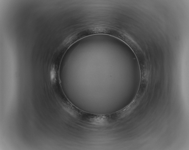 X0000113750124200909231139