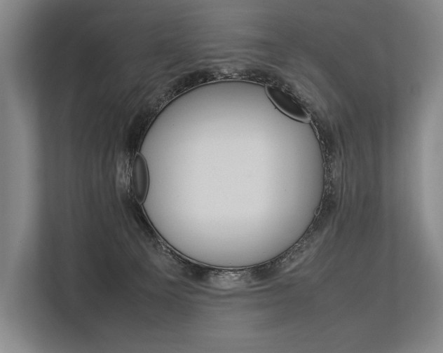 X0000113750129200909231139