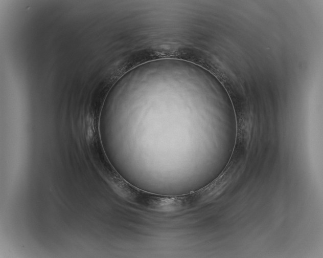 X0000113750130200909231139