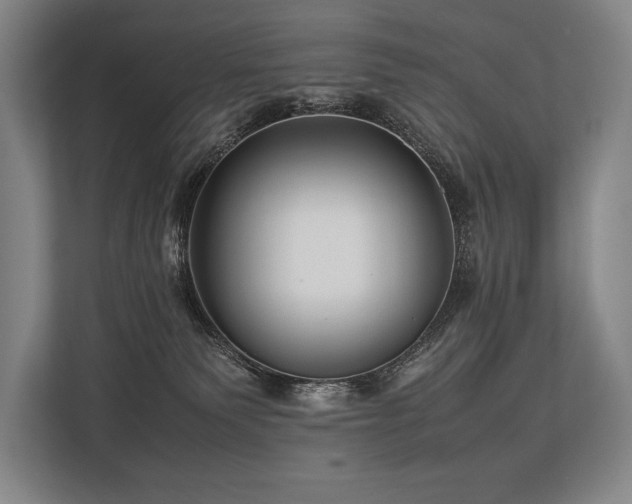 X0000113750135200909231139