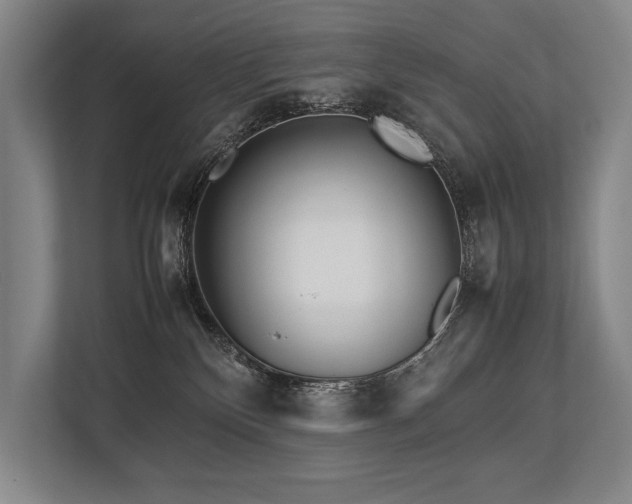 X0000113750136200909231139