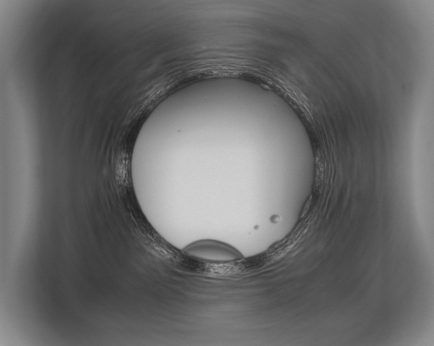 X0000113750141200909231139