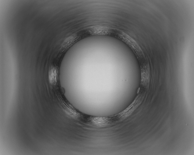 X0000113750142200909231139