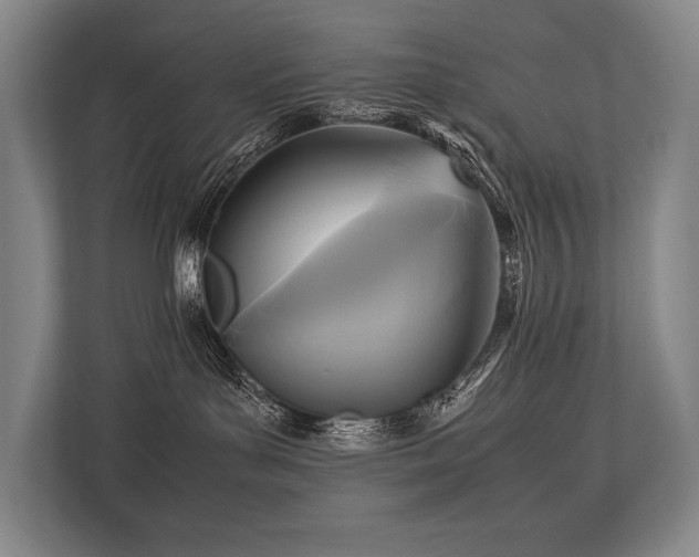 X0000113750143200909231139