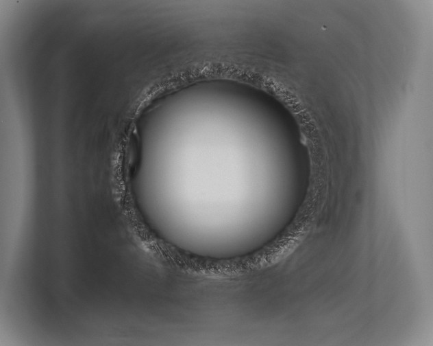 X0000113750144200909231139