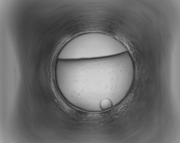X0000113750145200909231139