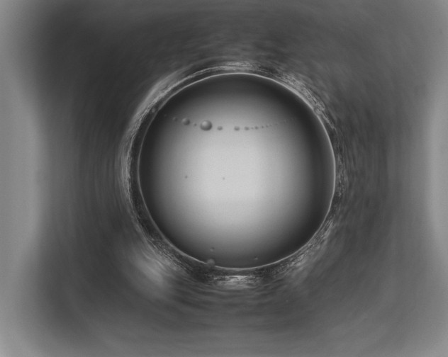 X0000113750151200909231139