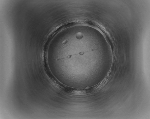 X0000113750154200909231139