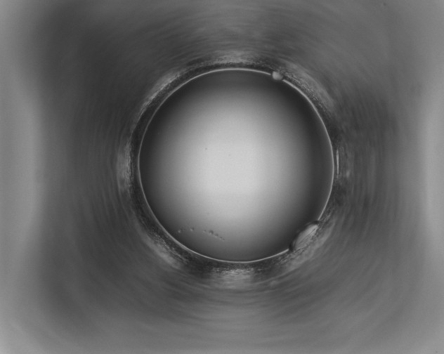 X0000113750156200909231139