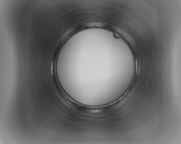 X0000113750157200909231139