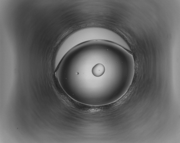 X0000113750158200909231139