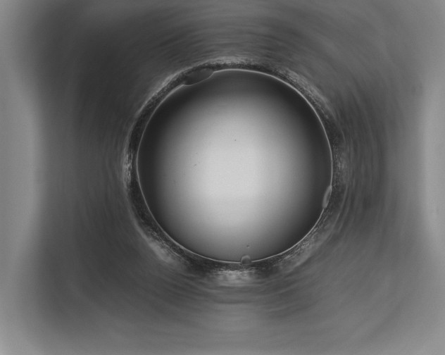 X0000113750160200909231139