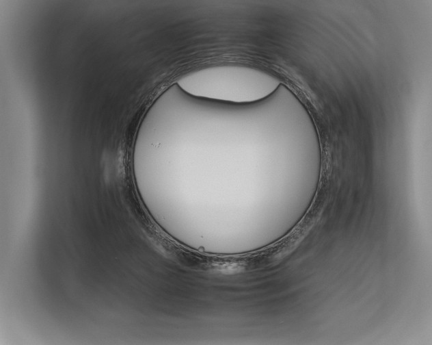 X0000113750161200909231139