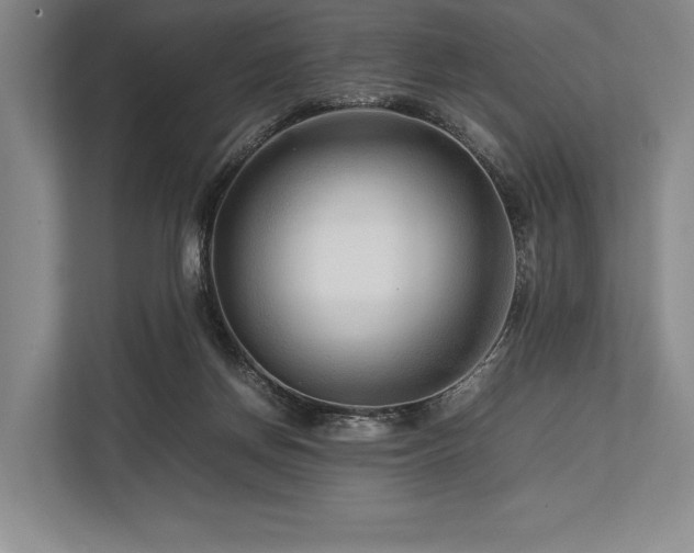 X0000113750166200909231139