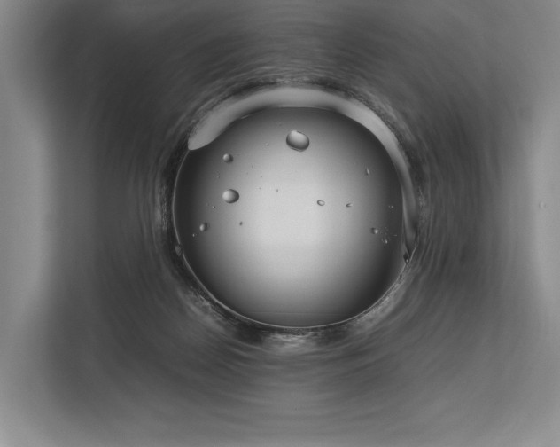 X0000113750170200909231139