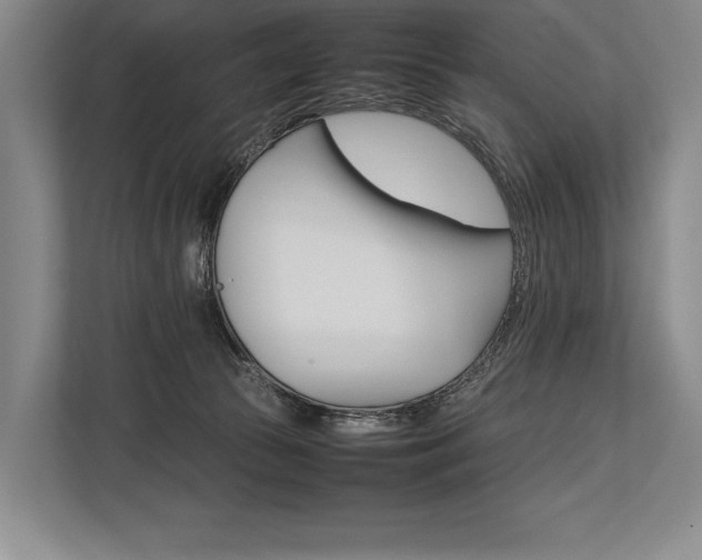 X0000113750177200909231139