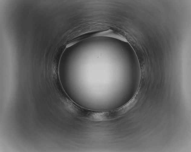 X0000113750178200909231139